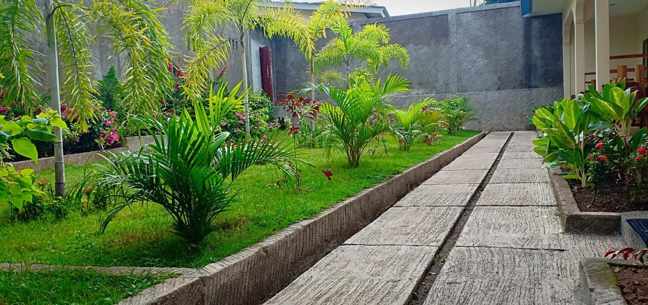 Green Rinjani Guest Houst Senaru Exterior photo
